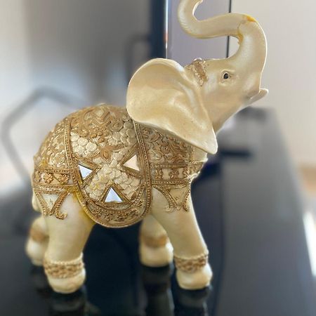 Myslym Shyri Studio 2 地拉那 外观 照片